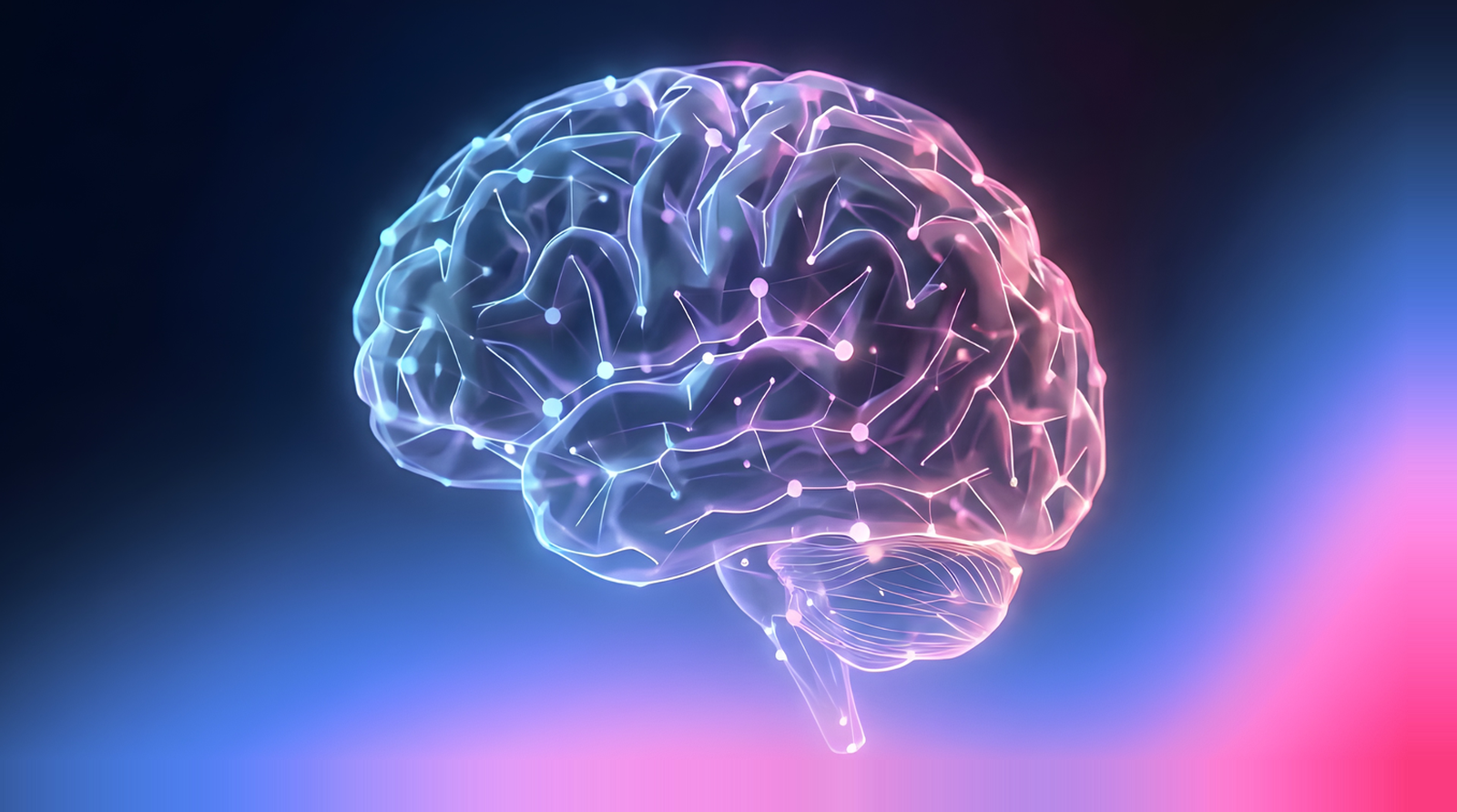 What is Website Analytics Intelligence?